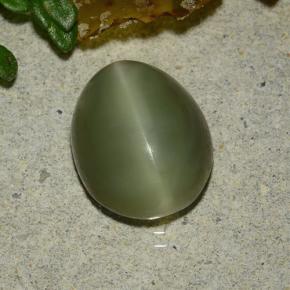 Actinolite cat's eye naturale verde da 3,59 ct, taglio ovale, traslucido