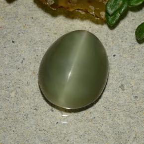 Actinolite cat's eye naturale verde da 3,59 ct, taglio ovale, traslucido
