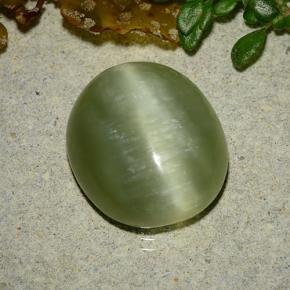 Occhio di gatto actinolite Verde giallastro naturale da 8.75 ct, Taglio ovale, Traslucido