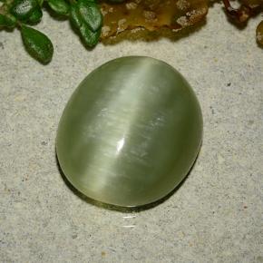 Occhio di gatto actinolite Verde giallastro naturale da 8.75 ct, Taglio ovale, Traslucido