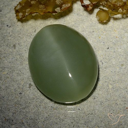 7.01ct Naturale Army Green Occhio di gatto actinolite, Ovale, Traslucido