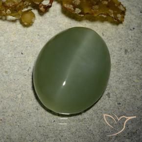 Occhio di gatto actinolite Army Green naturale da 7.01 ct, Ovale, Traslucido