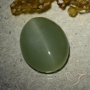 Occhio di gatto actinolite Army Green naturale da 7.01 ct, Ovale, Traslucido