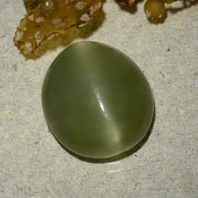 Actinolite cat's eye naturale verde da 5,70 ct, taglio ovale, traslucido