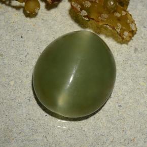 Actinolite cat's eye naturale verde da 5,70 ct, taglio ovale, traslucido