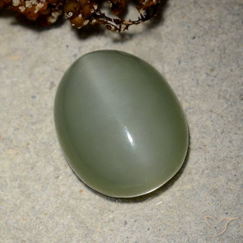 10.66ct Naturale Verde medio Occhio di gatto actinolite, Ovale, Traslucido