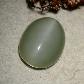 Occhio di gatto actinolite Verde medio naturale da 10.66 ct, Ovale, Traslucido