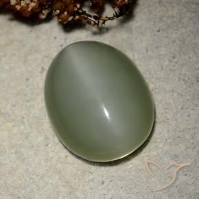 Occhio di gatto actinolite Verde medio naturale da 10.66 ct, Ovale, Traslucido