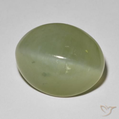 Occhio di gatto actinolite Verde grigiastro naturale da 11.42 ct, Ovale, Traslucido