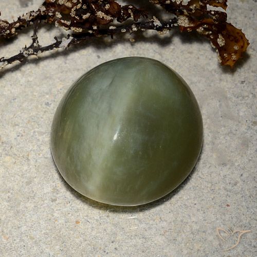 8.89ct Naturale Verde scuro Occhio di gatto actinolite, Ovale, Traslucido