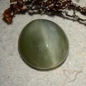 Occhio di gatto actinolite Verde scuro naturale da 8.89 ct, Ovale, Traslucido