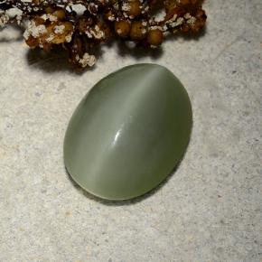 Actinolite cat's eye naturale verde da 4,81 ct, taglio ovale, traslucido