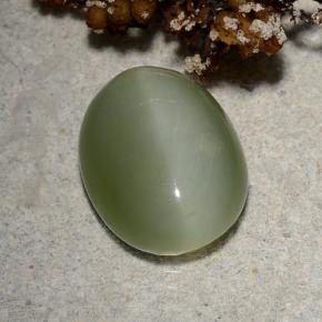 Occhio di gatto actinolite Verde naturale da 4.46 ct, Taglio ovale, Traslucido