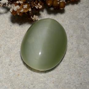 Occhio di gatto actinolite Verde naturale da 4.46 ct, Taglio ovale, Traslucido