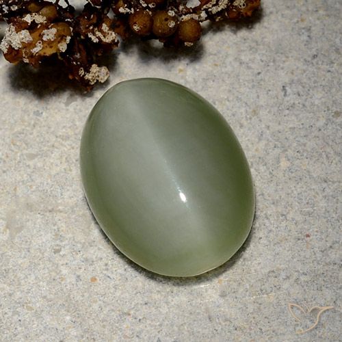 5.19ct Naturale Verde dorato Occhio di gatto actinolite, Ovale, Traslucido