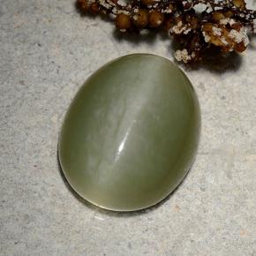 Actinolite cat's eye naturale verde da 9,06 ct, taglio ovale, traslucido