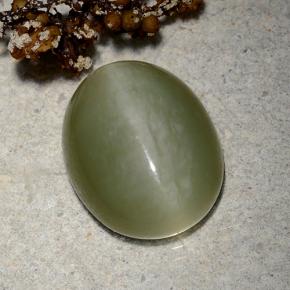 Actinolite cat's eye naturale verde da 9,06 ct, taglio ovale, traslucido