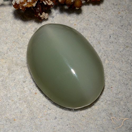 8.62ct Naturale Verde medio Occhio di gatto actinolite, Ovale, Traslucido