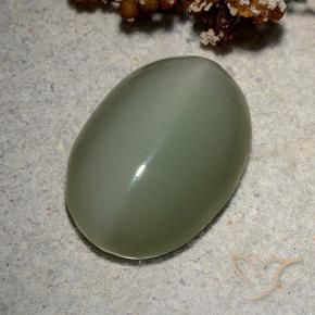 Occhio di gatto actinolite Verde medio naturale da 8.62 ct, Ovale, Traslucido