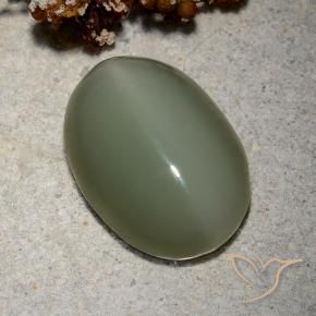 Occhio di gatto actinolite Verde medio naturale da 8.62 ct, Ovale, Traslucido