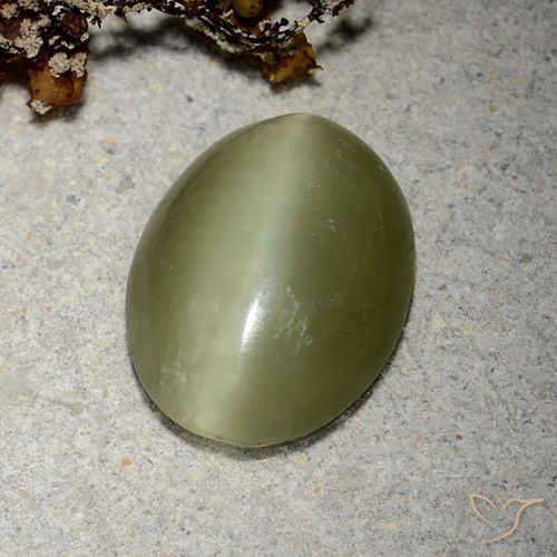 Actinolite cat's eye naturale verde da 5,10 ct, taglio ovale, traslucido