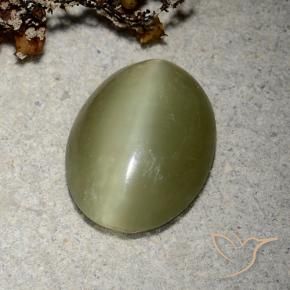 Actinolite cat's eye naturale verde da 5,10 ct, taglio ovale, traslucido