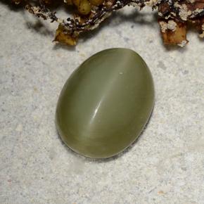 Actinolite cat's eye naturale verde da 2,78 ct, taglio ovale, traslucido