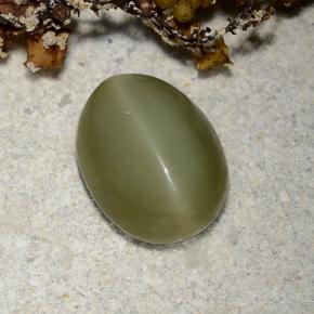 Actinolite cat's eye naturale verde da 2,78 ct, taglio ovale, traslucido
