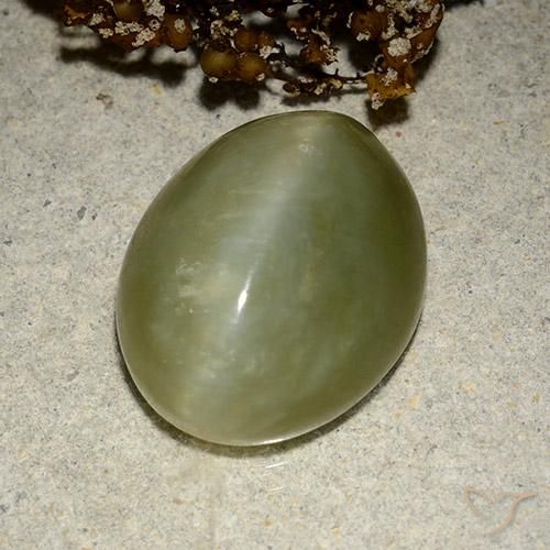 10.95ct Naturale Verde terroso Occhio di gatto actinolite, Ovale, Traslucido