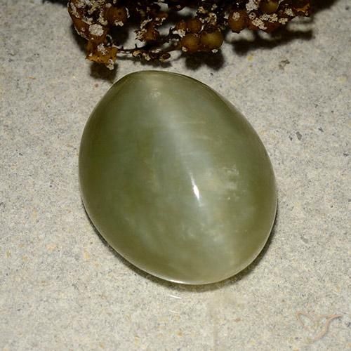 Occhio di gatto actinolite Verde terroso naturale da 10.95 ct, Ovale, Traslucido