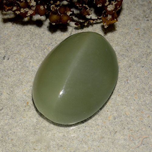 6.03ct Naturale Army Green Occhio di gatto actinolite, Ovale, Traslucido