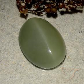 Occhio di gatto actinolite Army Green naturale da 6.03 ct, Ovale, Traslucido