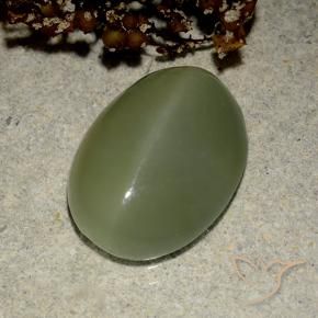 Occhio di gatto actinolite Army Green naturale da 6.03 ct, Ovale, Traslucido