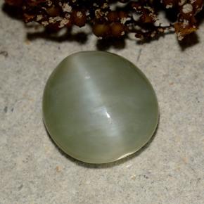 Occhio di gatto actinolite Verde naturale da 4.15 ct, Taglio ovale, Traslucido