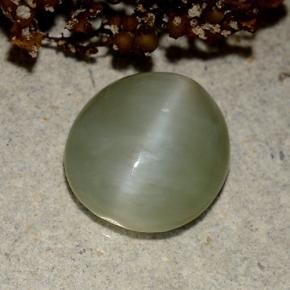 Occhio di gatto actinolite Verde naturale da 4.15 ct, Taglio ovale, Traslucido