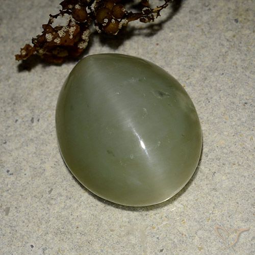 11.07ct Naturale Verde medio Occhio di gatto actinolite, Ovale, Traslucido