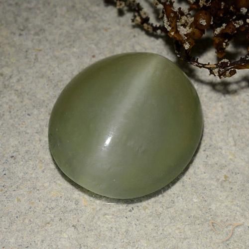 Occhio di gatto actinolite Verde medio naturale da 5.41 ct, Ovale, Traslucido