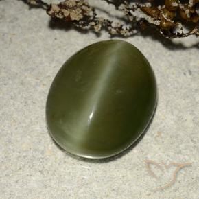 Occhio di gatto actinolite Verde scuro naturale da 5.83 ct, Ovale, Traslucido