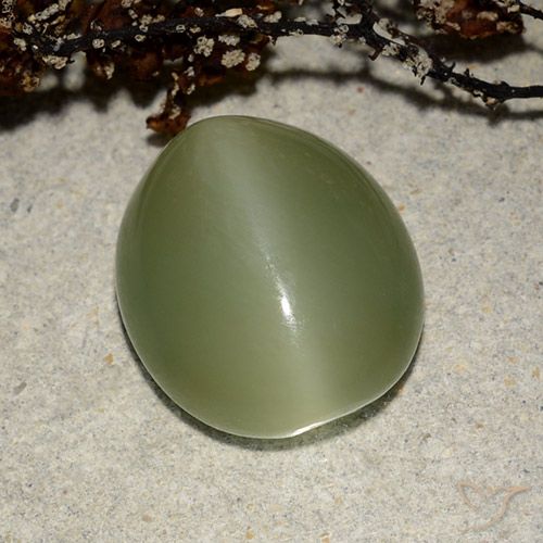 7.32ct Naturale Verde caldo Occhio di gatto actinolite, Ovale, Traslucido