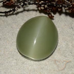 Occhio di gatto actinolite Verde caldo naturale da 7.32 ct, Ovale, Traslucido