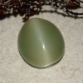 Occhio di gatto actinolite Verde caldo naturale da 7.32 ct, Ovale, Traslucido