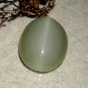 Occhio di gatto actinolite Verde terroso naturale da 5.42 ct, Taglio ovale, Traslucido