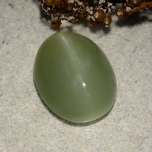 5.84ct Naturale Verde terroso Occhio di gatto actinolite, Ovale, Traslucido