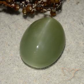 Occhio di gatto actinolite Verde terroso naturale da 5.84 ct, Ovale, Traslucido
