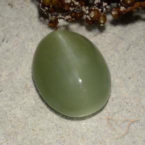 Occhio di gatto actinolite Verde terroso naturale da 5.84 ct, Ovale, Traslucido