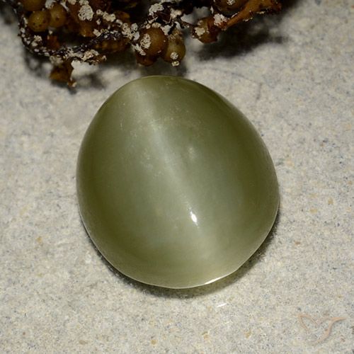 6.75ct Naturale Verde caldo Occhio di gatto actinolite, Ovale, Traslucido