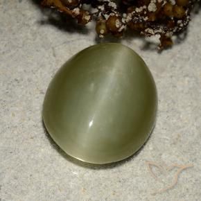 Occhio di gatto actinolite Verde caldo naturale da 6.75 ct, Ovale, Traslucido