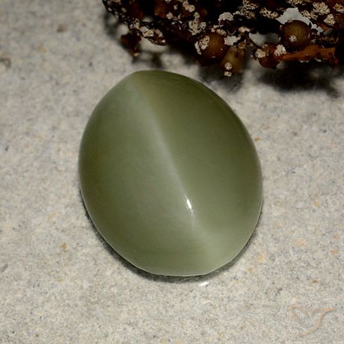 Actinolite cat's eye naturale verde da 5,41 ct, taglio ovale, traslucido