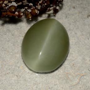Actinolite cat's eye naturale verde da 5,41 ct, taglio ovale, traslucido