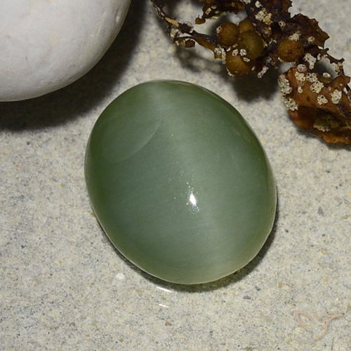 5.48ct Naturale Grigio verde Occhio di gatto actinolite, Ovale, Traslucido